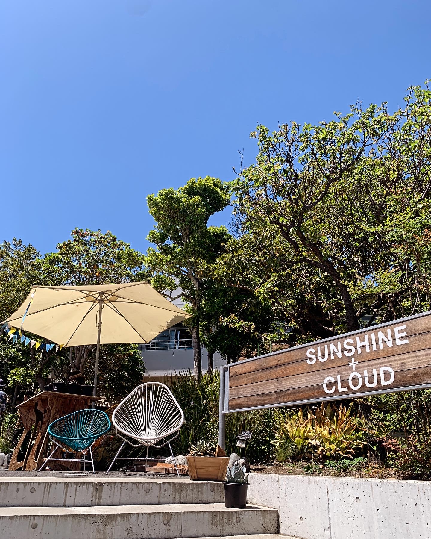 白いチェア — ドライフラワーアートとの調和